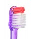 PACK VITIS CEPILLO ENCÍAS + REGALO VITIS PASTA DENTÍFRICA ENCÍAS 15ML