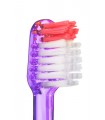 VITIS CEPILLO ENCÍAS + PASTA VITIS ENCÍAS 15ML