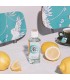Roger & Gallet Agua Perfumada Bienestar The Vert, 100ml