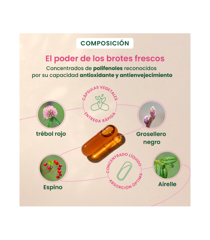 Pranarom Herbalgem Menopausia 30 Caps