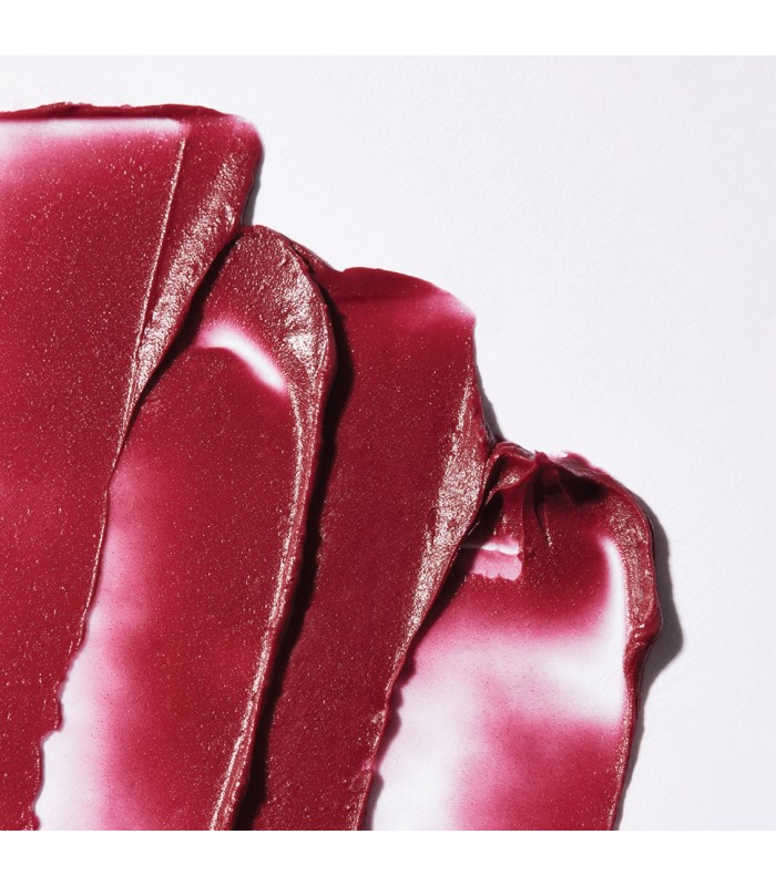 Caudalie Vinotherapist™ Tratamiento para Labios con Color, 4,5grs