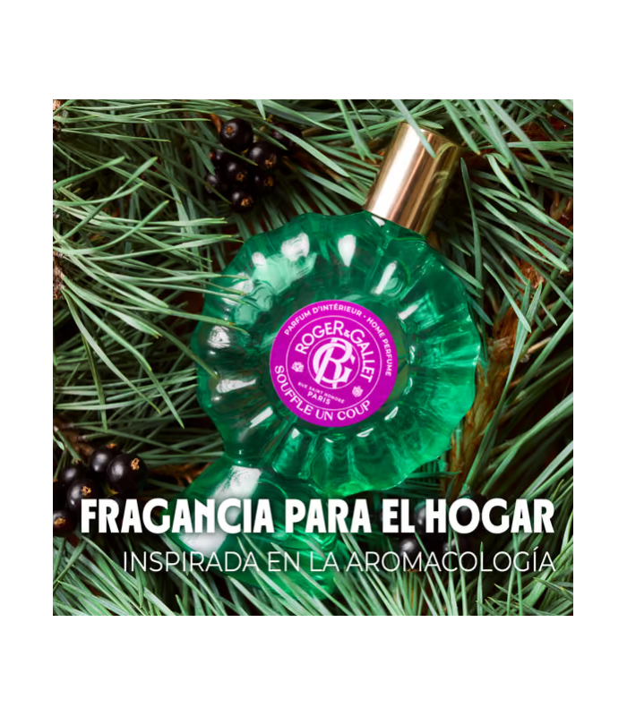 Roger & Gallet Fragancia Para El Hogar Souffle un coup, 100ml