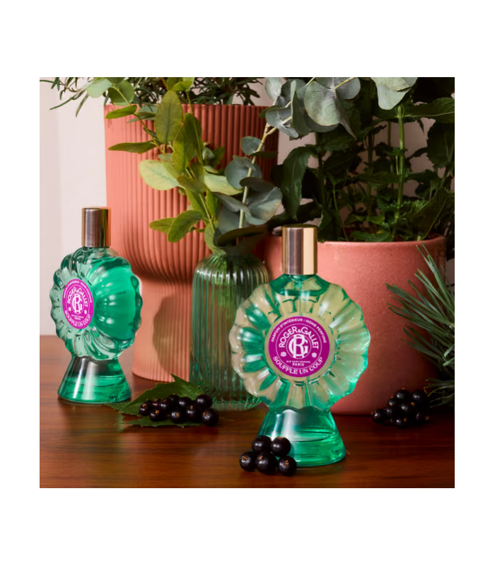Roger & Gallet Fragancia Para El Hogar Souffle un coup, 100ml