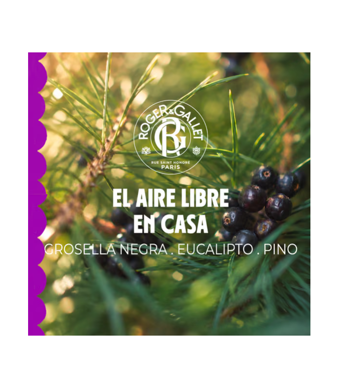 Roger & Gallet Fragancia Para El Hogar Souffle un coup, 100ml