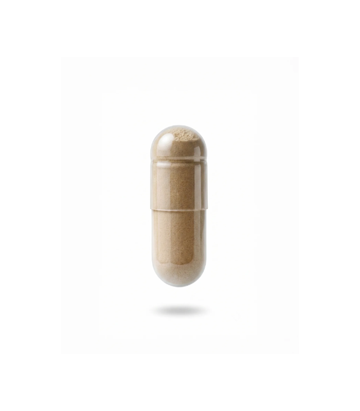 Gema Herrerías Probioderm Balance Complemento Alimenticio, 30 Cápsulas